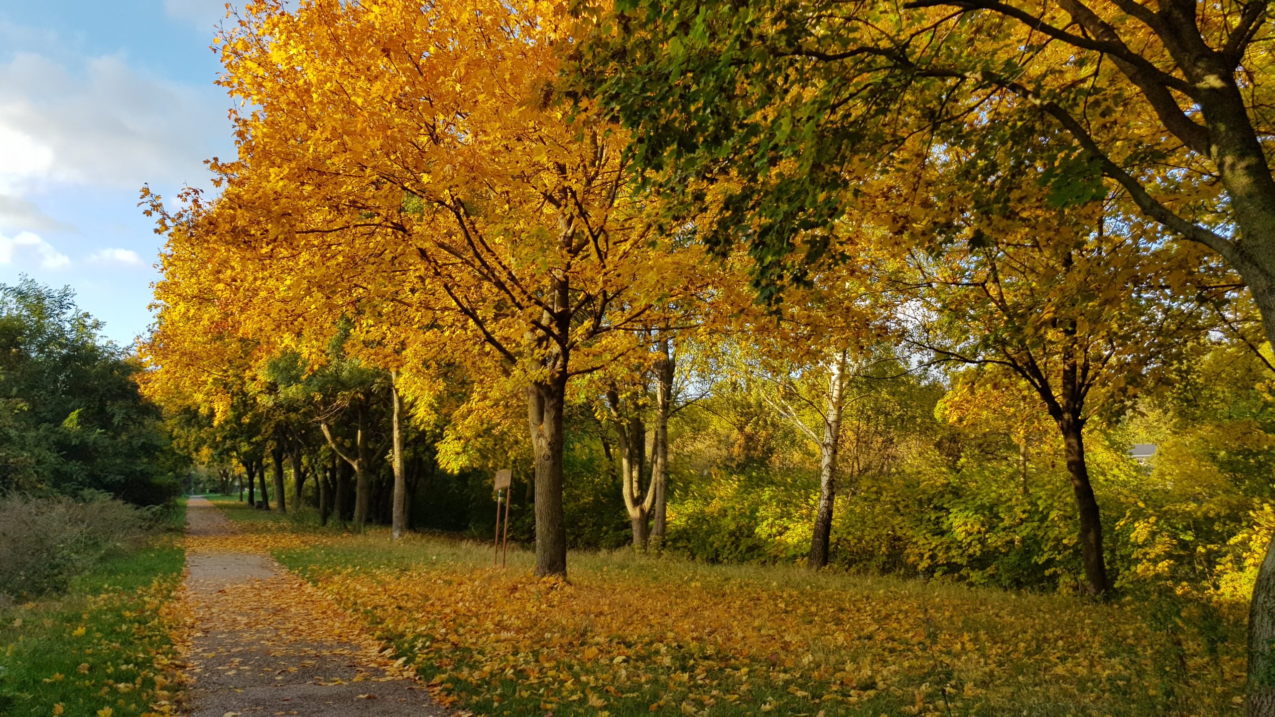 Read more about the article Outdoor Training